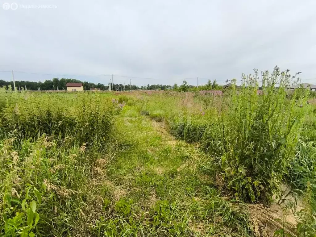 Участок в Тюменский район, деревня Решетникова (8.5 м) - Фото 1
