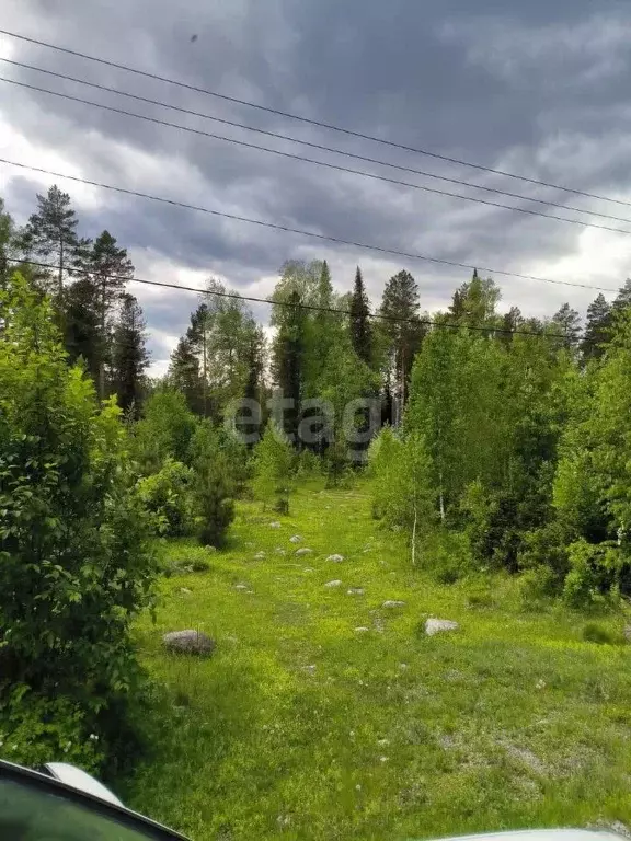 Участок в Алтай, Турочакский район, с. Верх-Бийск  (20.0 сот.) - Фото 0