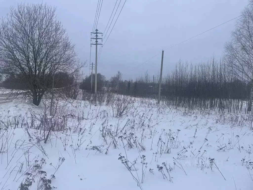 Погода в лизуново александровского владимирской. Лизуново Владимирская область. Деревня Лизуново Владимирская область.