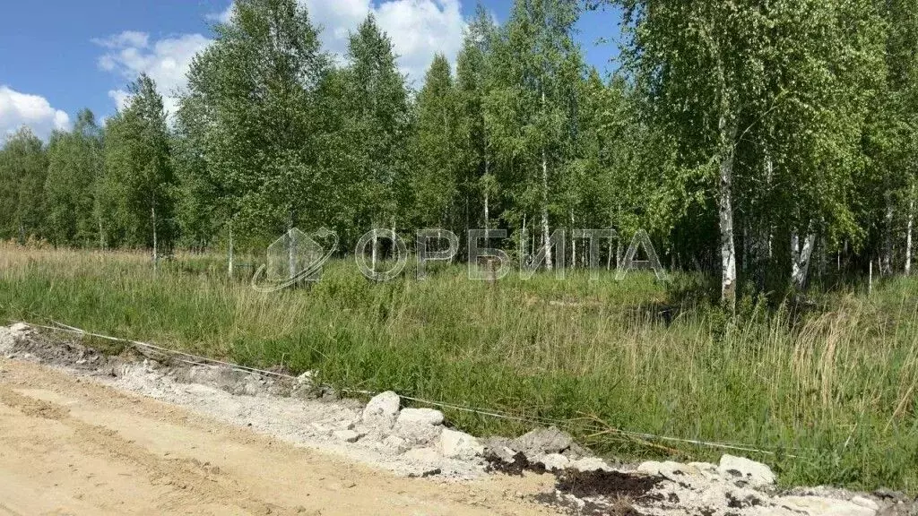 Участок в Тюменская область, Нижнетавдинский муниципальный округ, ... - Фото 2