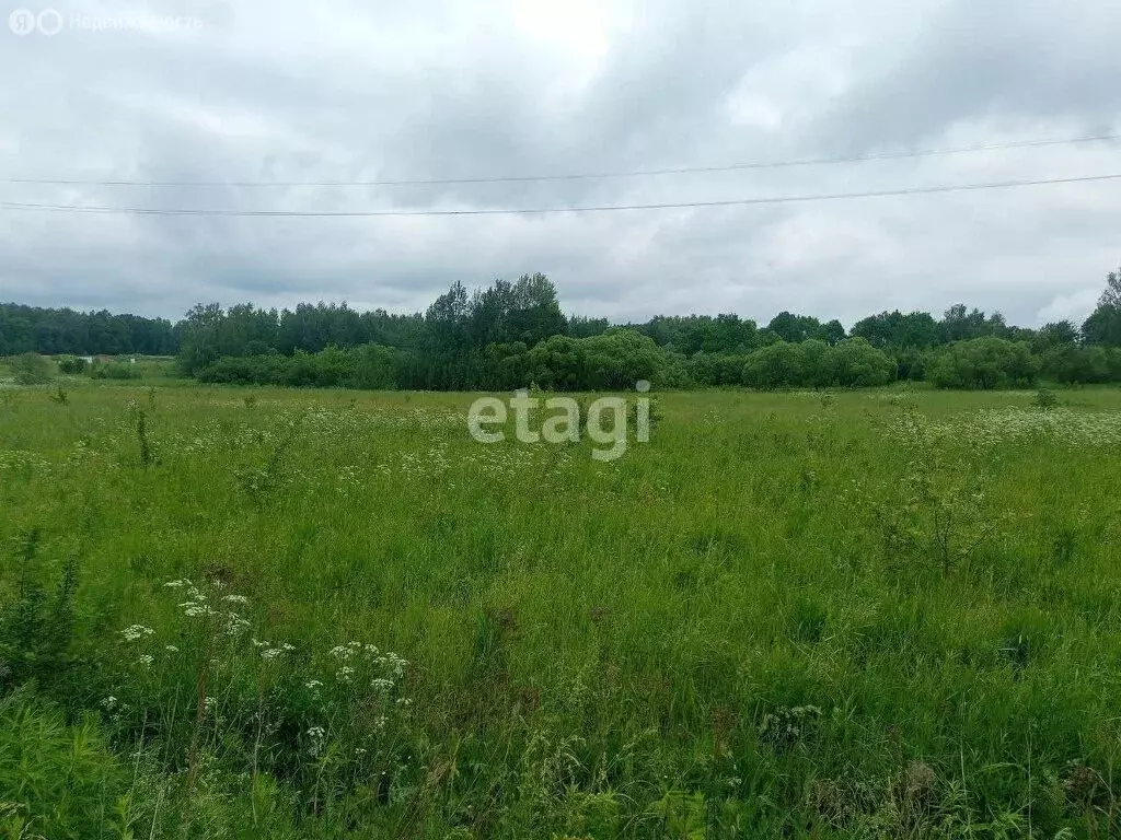 Участок в посёлок Заозерье, Крайняя улица (9 м) - Фото 0