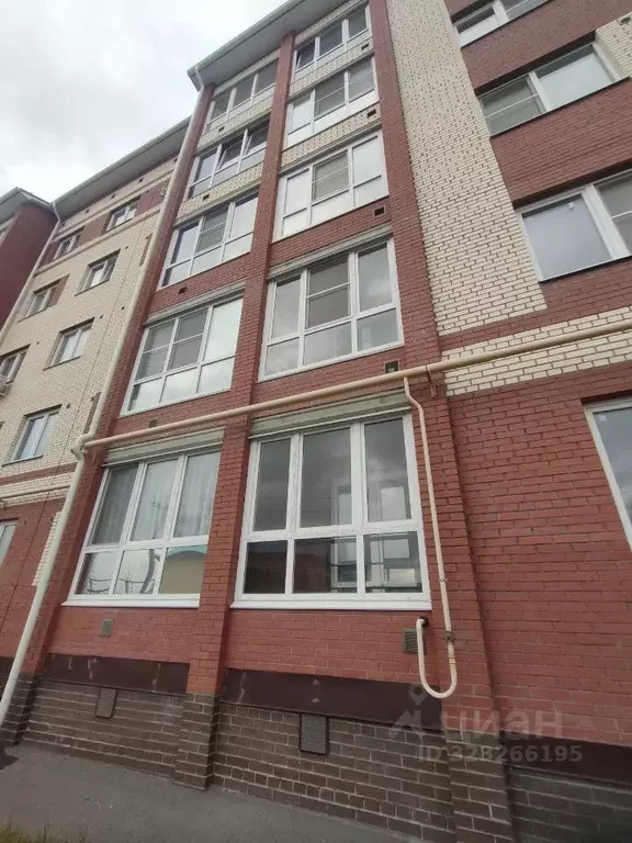 1-к кв. Марий Эл, Медведево городское поселение, Медведево пгт ул. ... - Фото 2