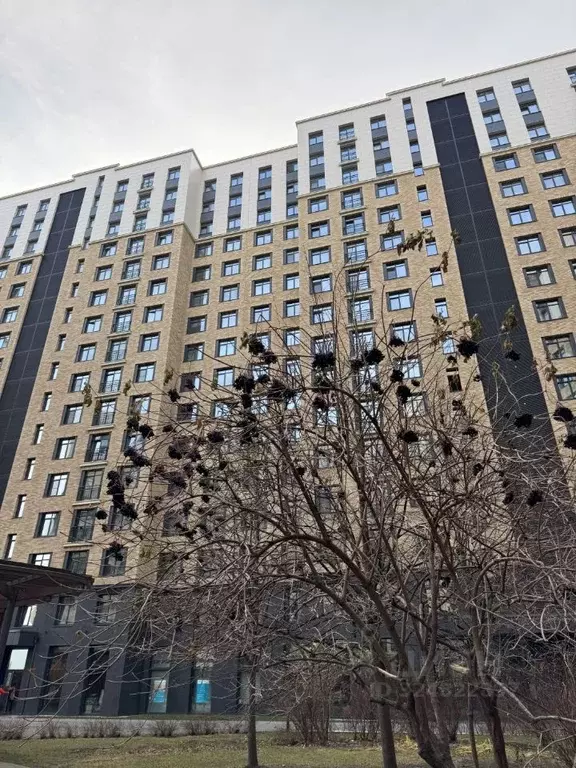 2-к кв. Москва Большая Филевская ул., 4 (40.0 м) - Фото 2