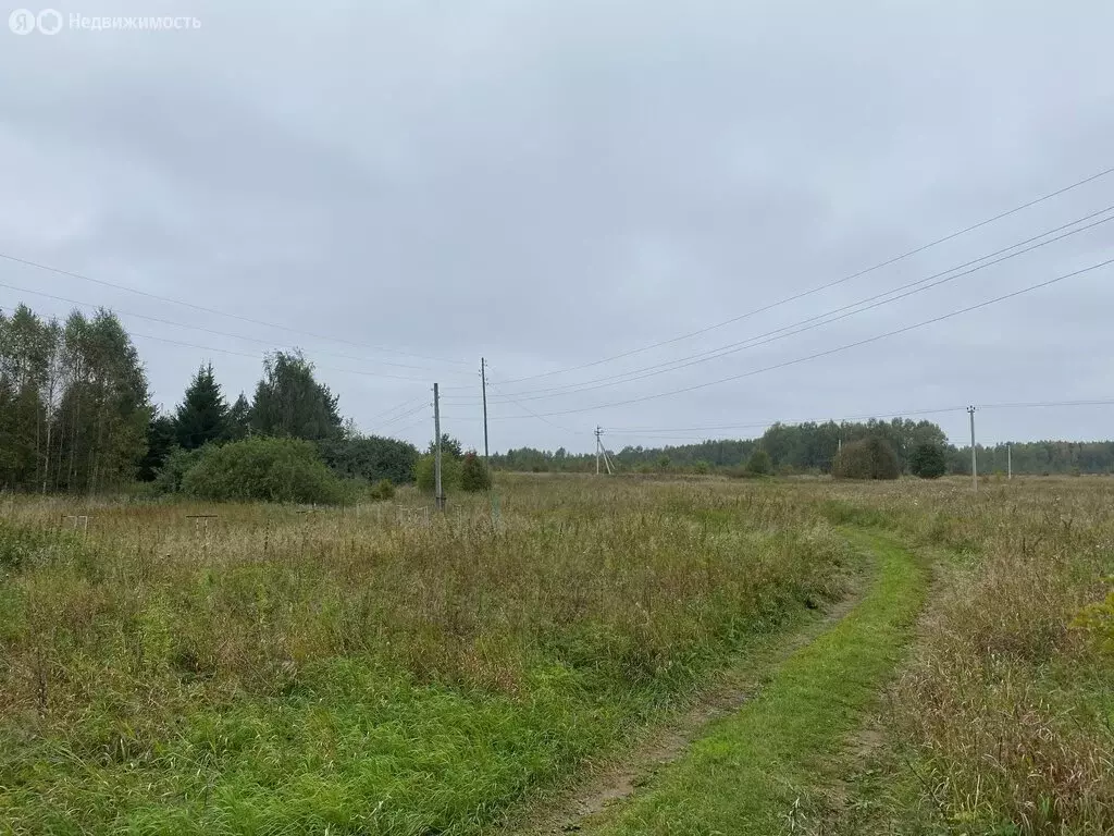 Участок в Юрьев-Польский район, муниципальное образование Симское, ... - Фото 1