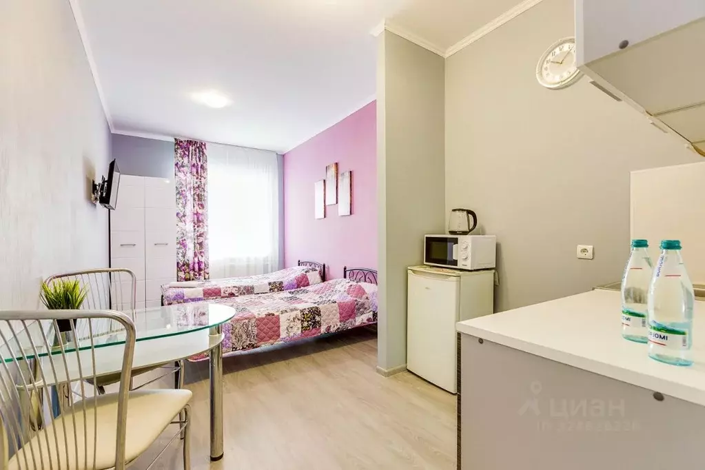 1-к кв. Ленинградская область, Никольское Тосненский район, ... - Фото 2