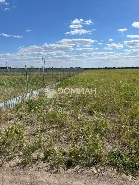 Участок в Ростовская область, Октябрьский район, Бессергеневское ... - Фото 1