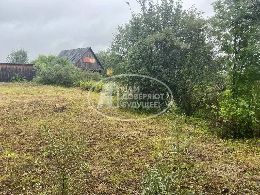 Дом в Пермский край, Чусовской городской округ, д. Шипицино  (47 м) - Фото 1