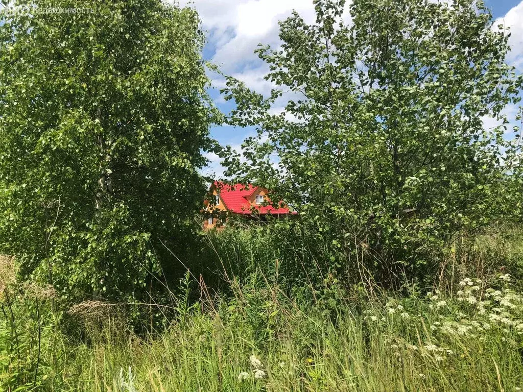 Участок в Московская область, Можайский муниципальный округ, деревня ... - Фото 2