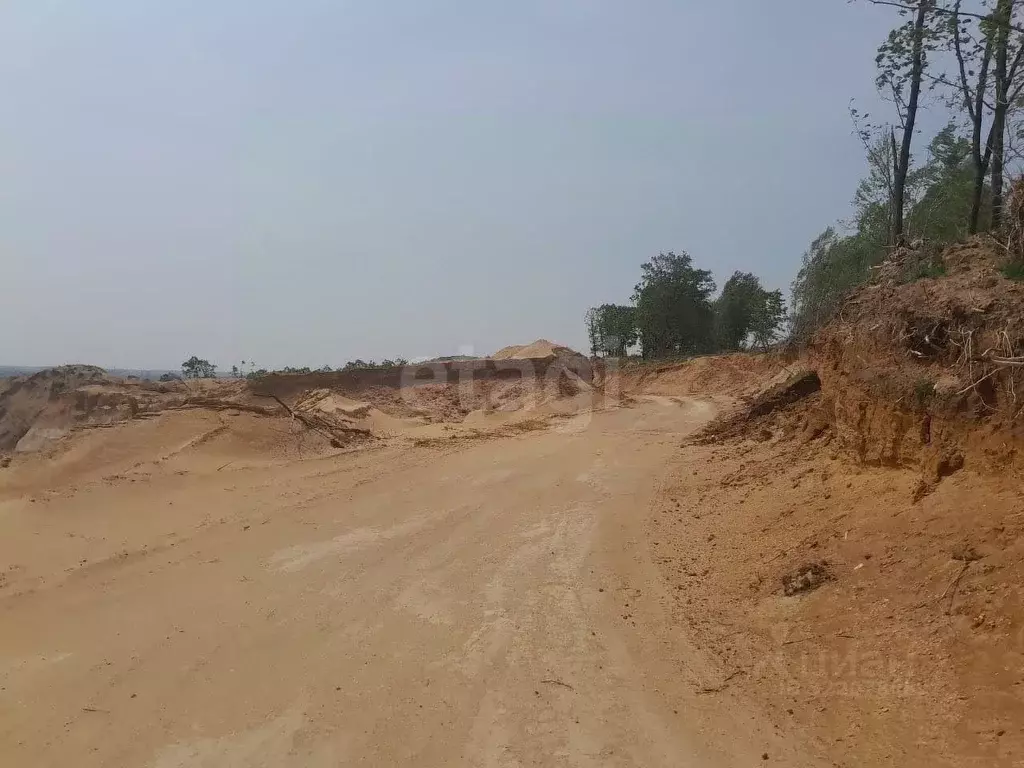 Участок в Амурская область, Серышевский муниципальный округ, с. ... - Фото 1