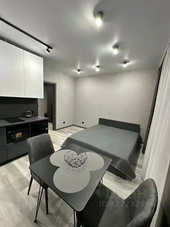 1-к кв. Амурская область, Благовещенск Кузнечная ул., 84 (29.0 м) - Фото 2