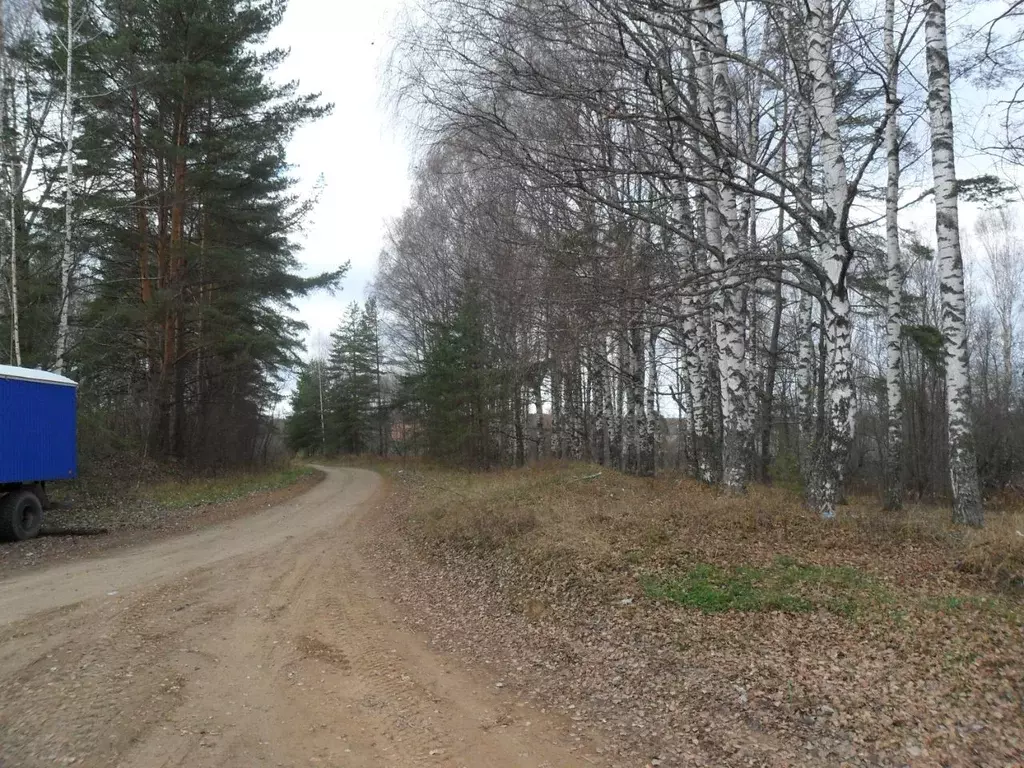 Участок в Тверская область, Ржевский муниципальный округ, д. Петуново  ... - Фото 1