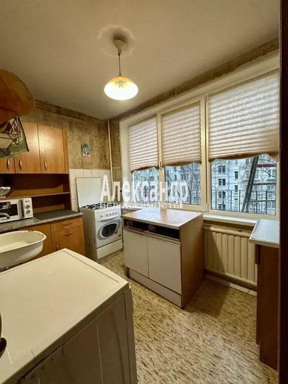 Комната Санкт-Петербург ул. Костюшко, 13 (52.8 м) - Фото 1