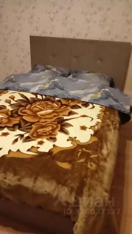 1-к кв. Московская область, Ногинск Богородский городской округ, ул. ... - Фото 2