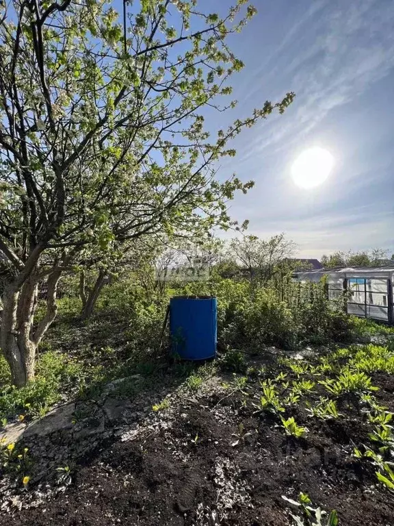 Участок в Башкортостан, Октябрьский Росинка СНТ,  (8.0 сот.) - Фото 2