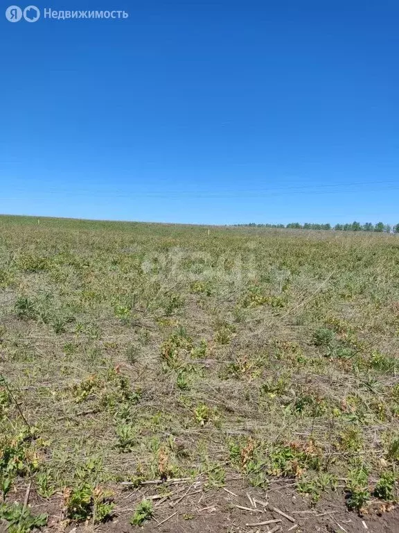 Участок в Мокшанский район, Рамзайский сельсовет, село Рамзай (12.4 м) - Фото 0