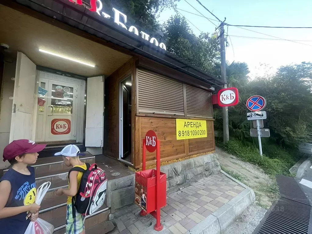 Помещение свободного назначения в Краснодарский край, Сочи Хоста ... - Фото 0