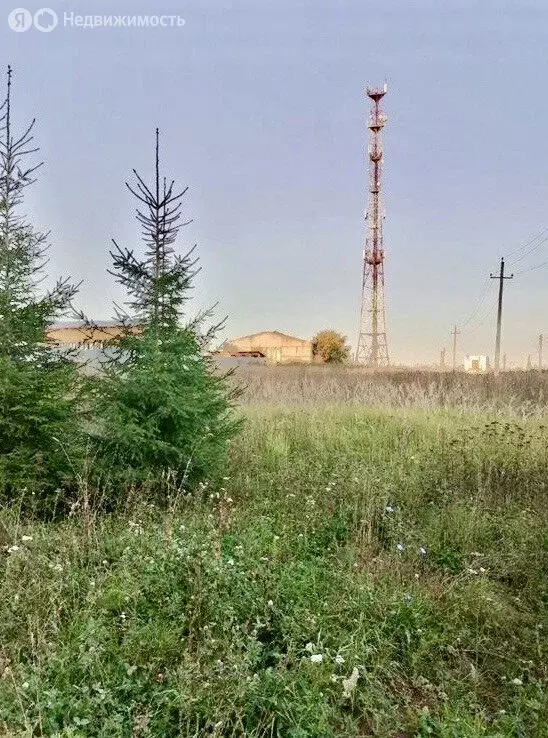 Участок в Московская область, муниципальный округ Чехов, деревня ... - Фото 1
