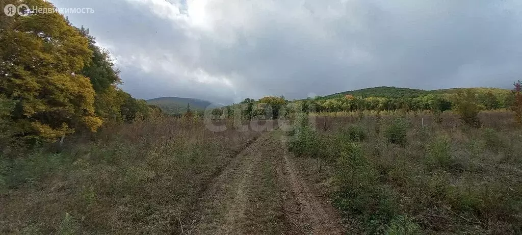 Участок в Балаклавский район, Орлиновский муниципальный округ, село ... - Фото 1