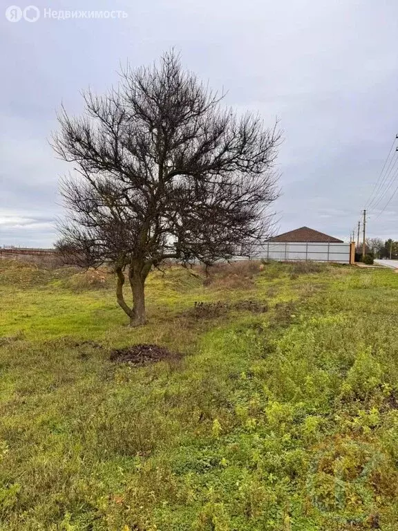 Участок в Сакский район, Ромашкинское сельское поселение, село ... - Фото 2