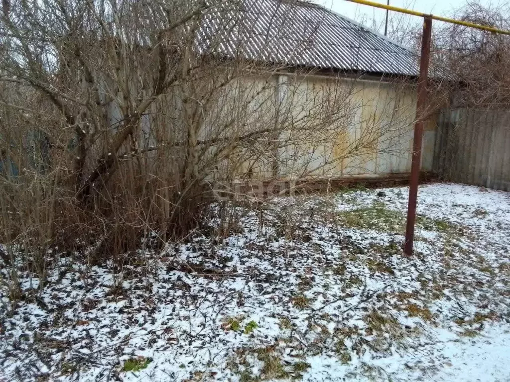 Дом в Белгородская область, Новооскольский муниципальный округ, с. ... - Фото 1