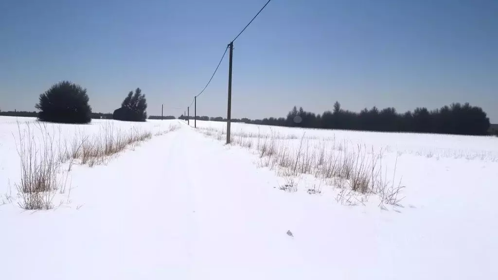 Участок в Ярославская область, Ярославский муниципальный округ, Новые ... - Фото 2