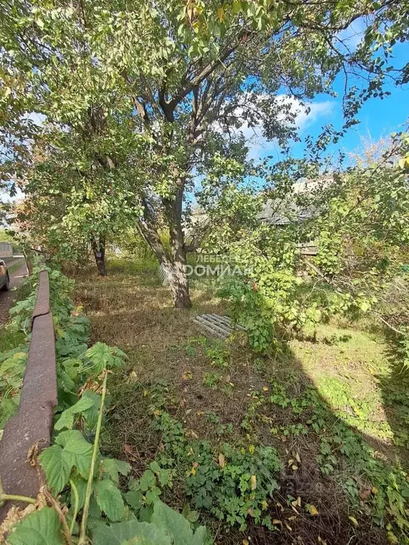 Участок в Ростовская область, Новочеркасск Яблоневый пер. (6.0 сот.) - Фото 2