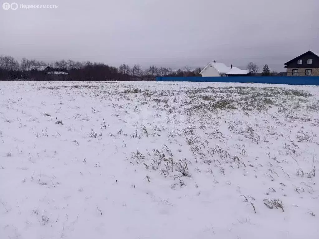 Участок в Архангельская область, Приморский муниципальный округ, ... - Фото 2