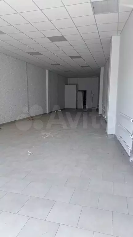 Магазин 40мядом с чижиком Мадояна фасад трафик - Фото 0