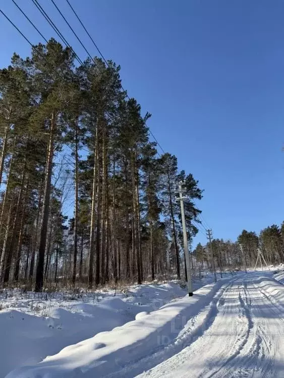 Участок в Иркутская область, Иркутский муниципальный округ, Светофор ... - Фото 1