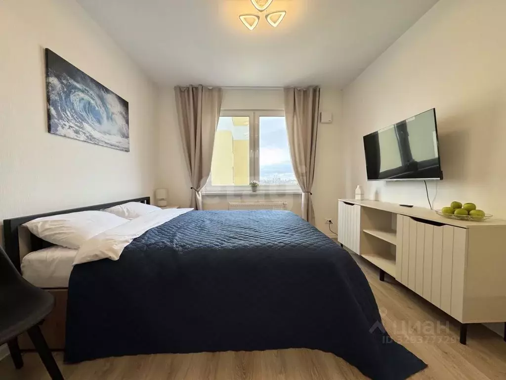 Студия Санкт-Петербург ул. Пахомовская, 10к4 (20.7 м) - Фото 2