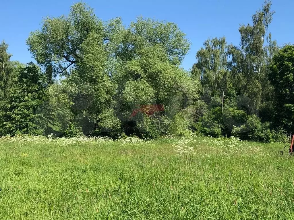 Участок 30 га (СНТ, ДНП) - Фото 1
