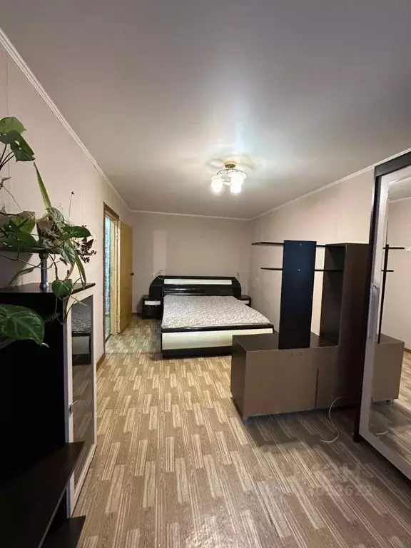 1-к кв. Брянская область, Брянский район, Снежское с/пос, пос. Путевка ... - Фото 1