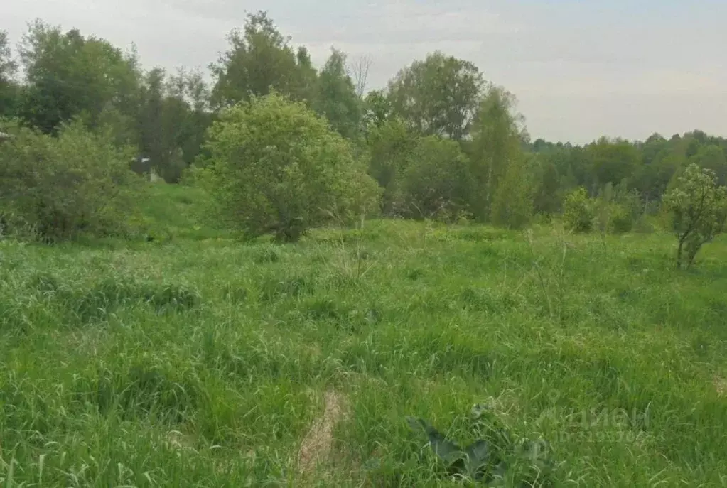 Участок в Московская область, Дмитровский муниципальный округ, д. ... - Фото 0