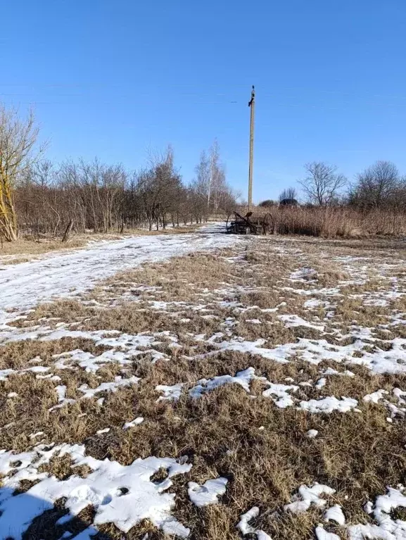 Участок в Московская область, Луховицы муниципальный округ, д. Ларино  ... - Фото 1