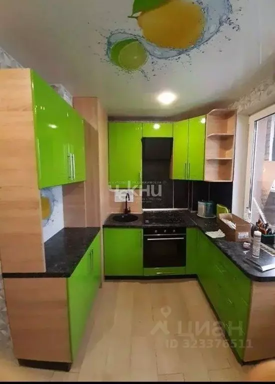 2-к кв. Нижегородская область, Нижний Новгород Живописная ул., 3 (55.0 ... - Фото 2