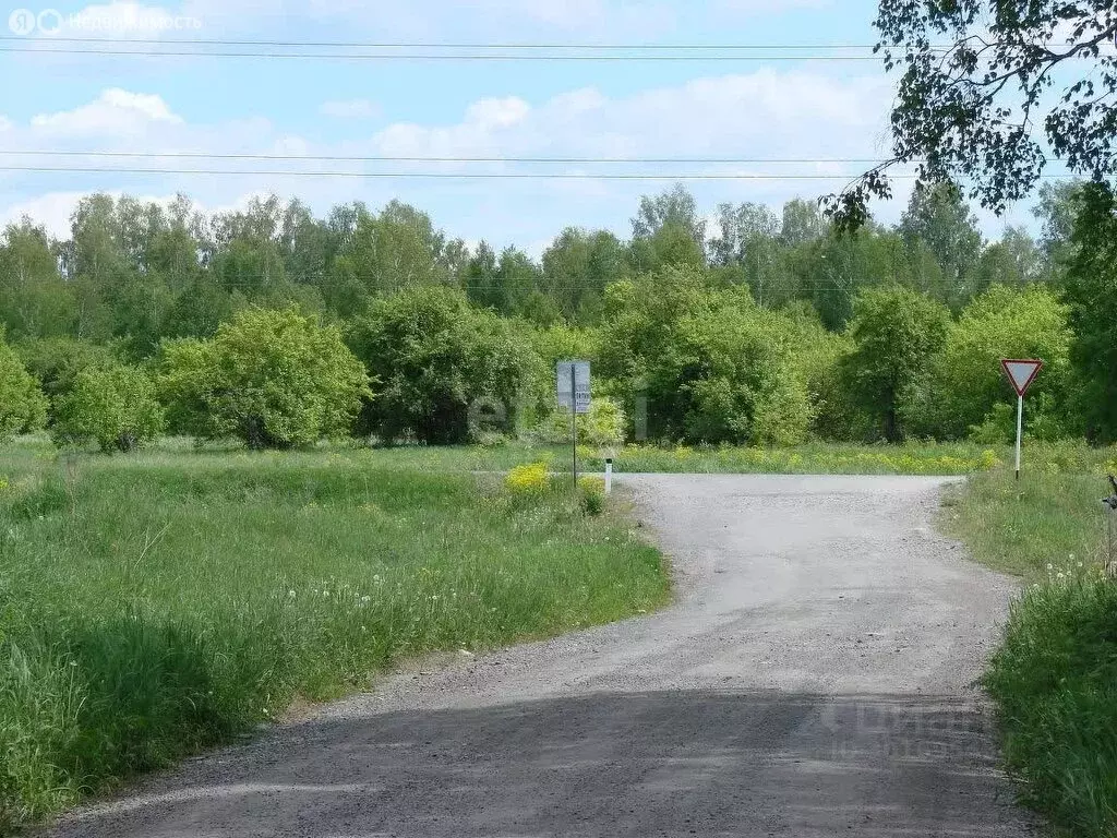 Участок в Новосибирский район, Берёзовский сельсовет, СНТ Аист (8.5 м) - Фото 1