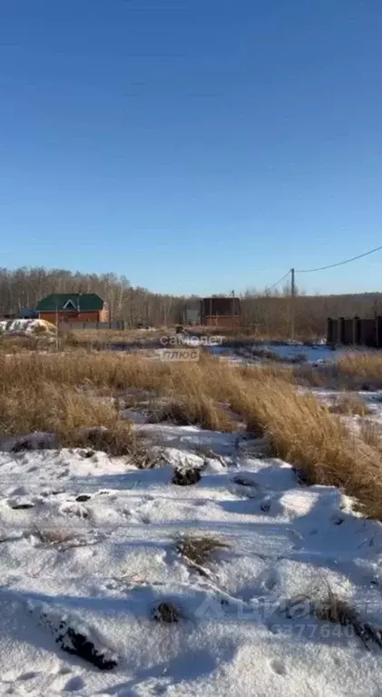 Участок в Челябинская область, Коркинский муниципальный округ, д. ... - Фото 2