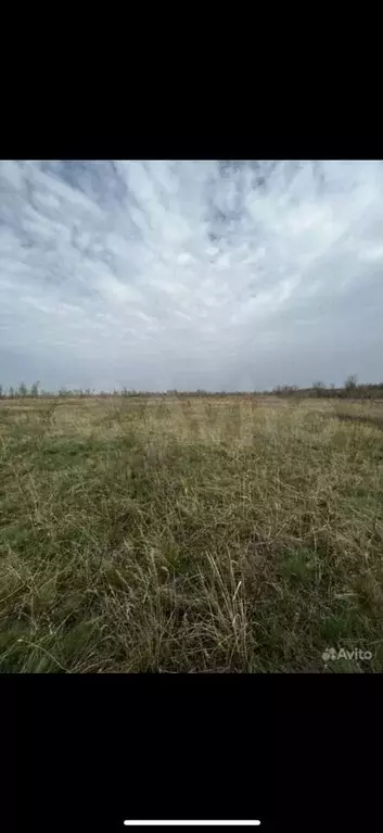 Участок 4 сот. (СНТ, ДНП) - Фото 1