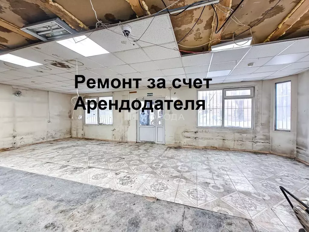 Помещение свободного назначения в Новосибирская область, Новосибирск ... - Фото 1