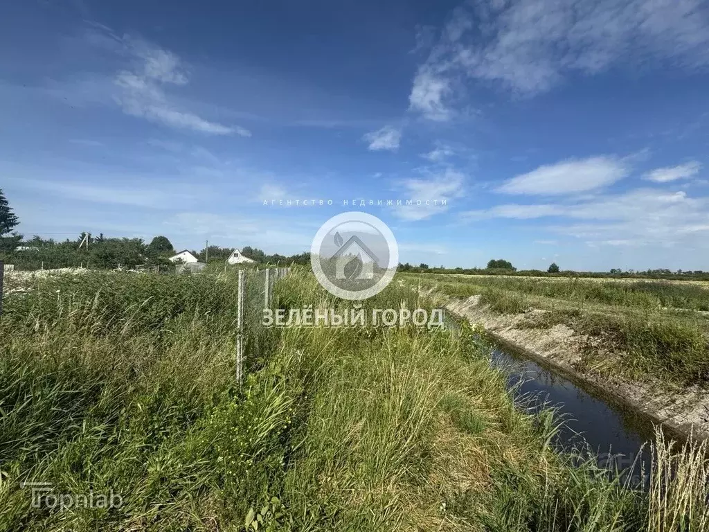 Участок в Калининградская область, Гурьевский муниципальный округ, СНТ ... - Фото 2