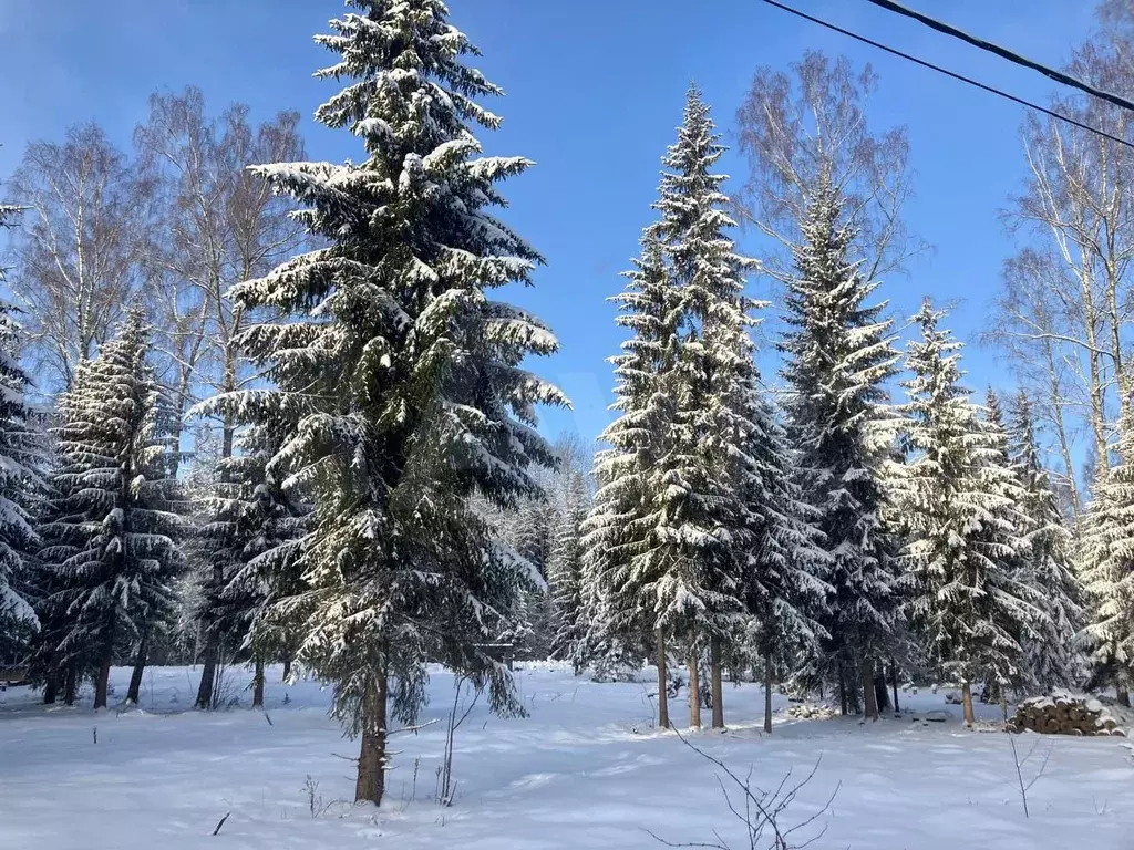 Участок 10,5 сот. (СНТ, ДНП) - Фото 1