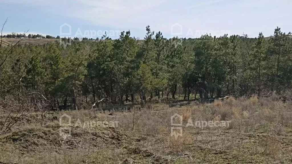 Участок в Волгоградская область, Волгоград ул. Себряковская (9.17 ... - Фото 1