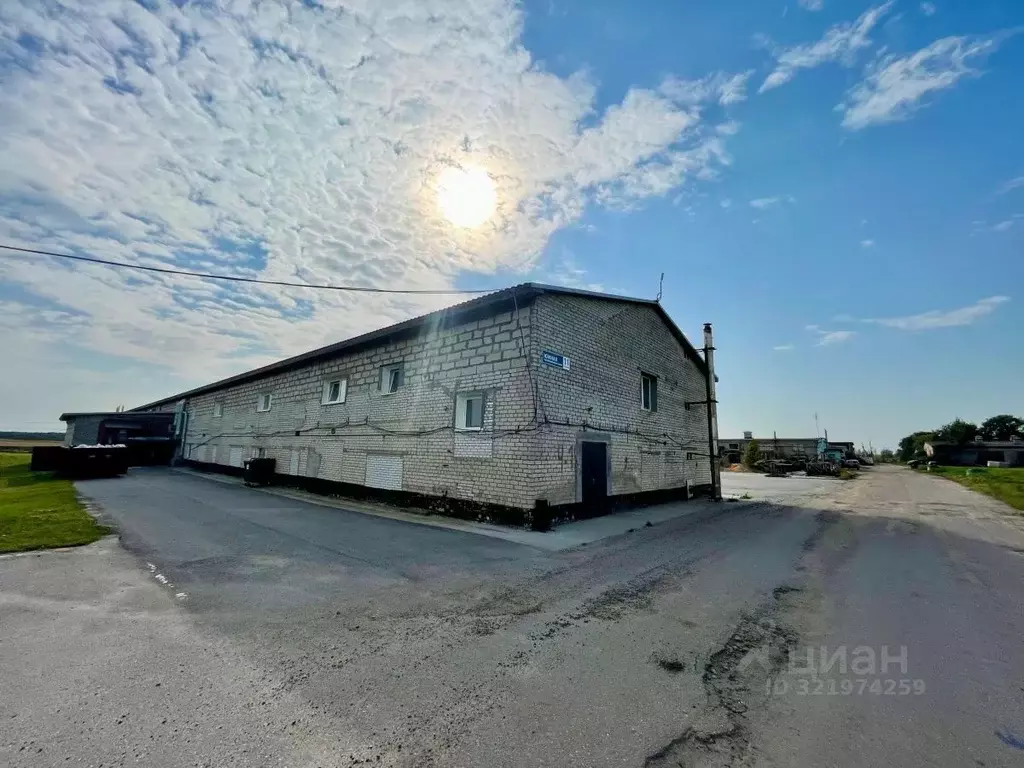 Производственное помещение в Ленинградская область, Ломоносовский ... - Фото 2