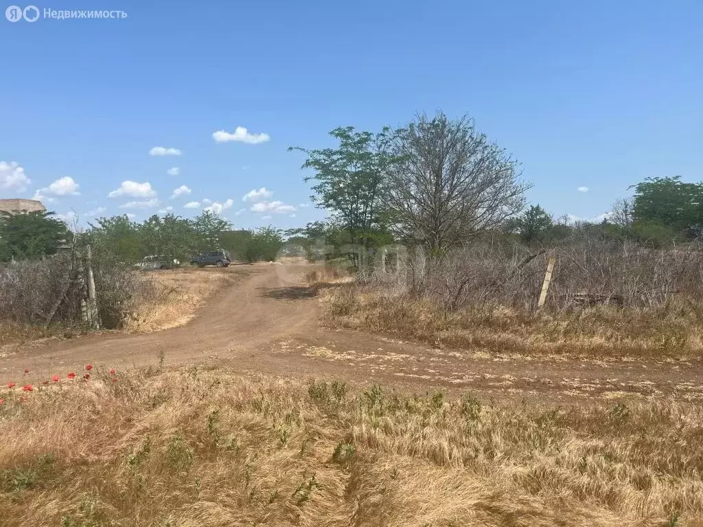 Участок в Сакский район, Митяевское сельское поселение, СНТ Химик-3 ... - Фото 1