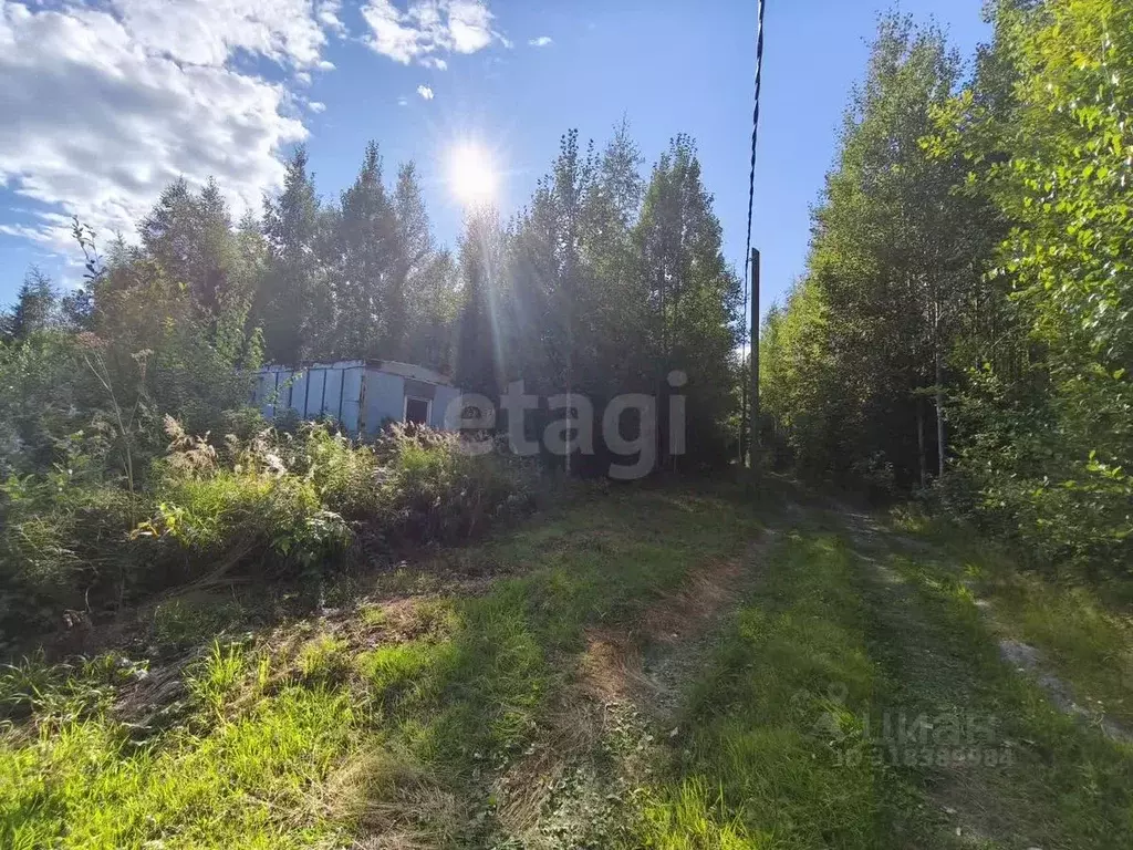 Участок в Ханты-Мансийский АО, Ханты-Мансийск Кузя СОТ,  (10.1 сот.) - Фото 1