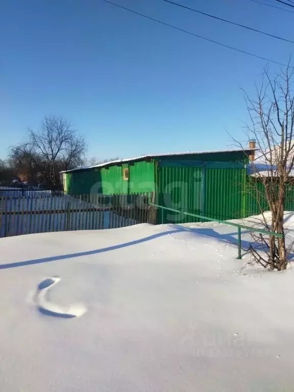 Дом в Амурская область, Константиновский район, с. Новопетровка ул. ... - Фото 2