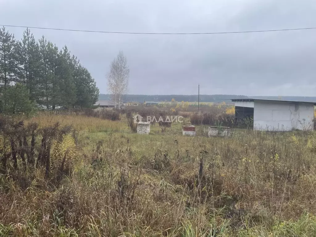 Участок в Владимирская область, Судогодский район, с. Чамерево ул. ... - Фото 1