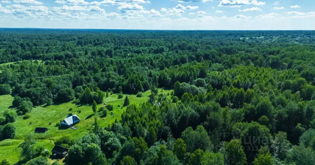 Участок в Тверская область, Селижаровский муниципальный округ, д. ... - Фото 1