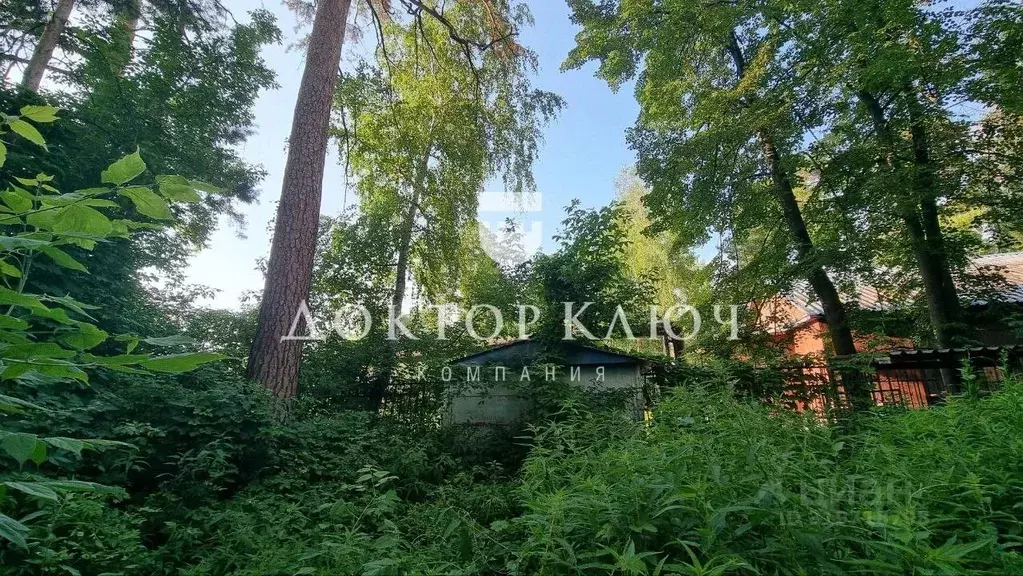 Участок в Новосибирская область, Новосибирск  (12.0 сот.) - Фото 2
