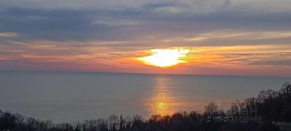 Дом в Краснодарский край, Сочи Звездная ул., 42 (472 м) - Фото 1